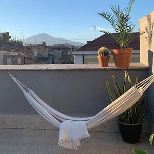 Homestay Rooftop
